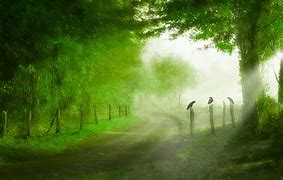 据苗先生介绍,他四五年前购买了两张电话卡,两个手机号只差一位,因为当时的资费是月初扣3元,月末返3元,市话0.1元,长途0.2元,他觉得该资费特别划算,于是自己用了一张尾号为446的电话卡,另一张尾号246的电话卡准备等孩子长大上学用。