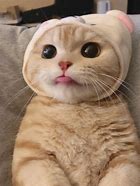 新办的手机号,申请微信号,发现号码已经被占用,然而账号信息却不是自己的。昨天。市民张先生就反映遇上了这样的蹊跷事,猜测可能是原手机号的主人没有解除手机号和微信的绑定。