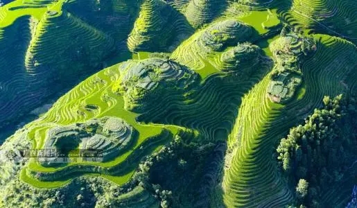 如何辨别“二手”手机号,问题一大堆,这几招贼简单,必会!